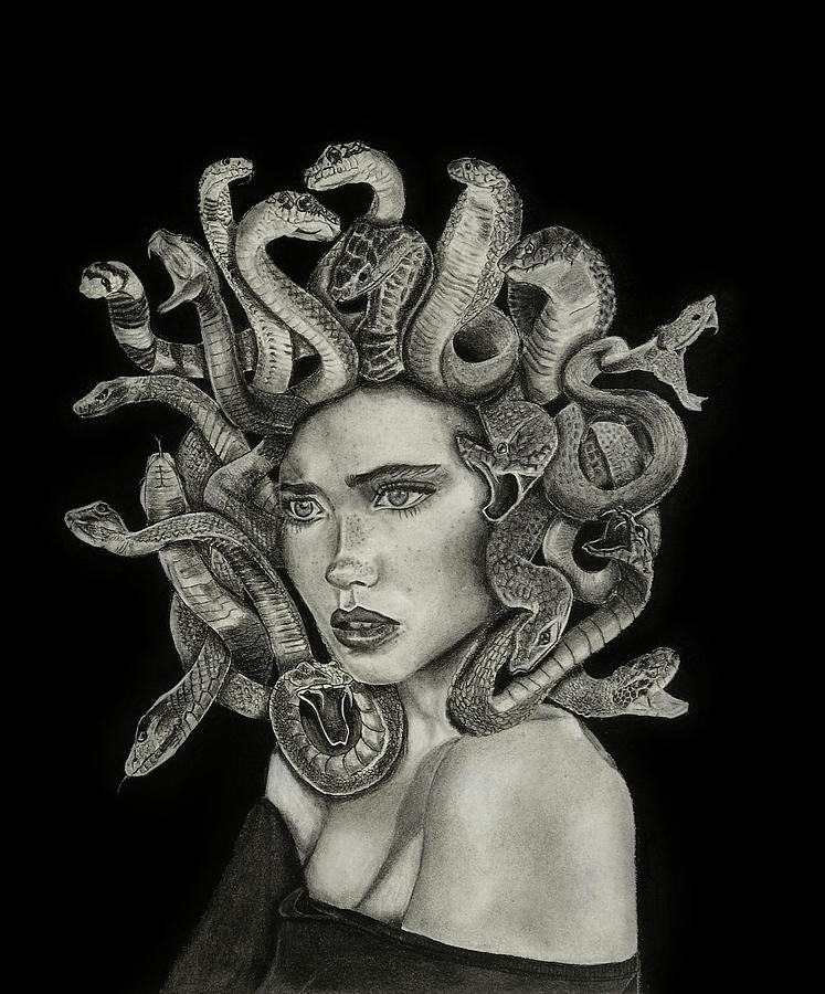 Medusa Drawing by Can Boyacilar - Fine Art America