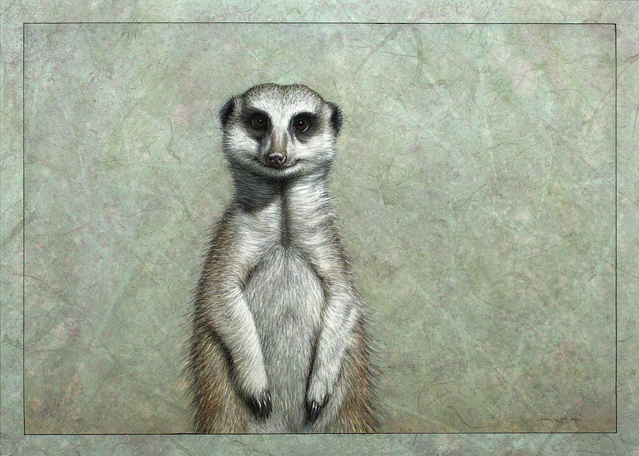 Wildlife Painting - Meerkat by James W Johnson
