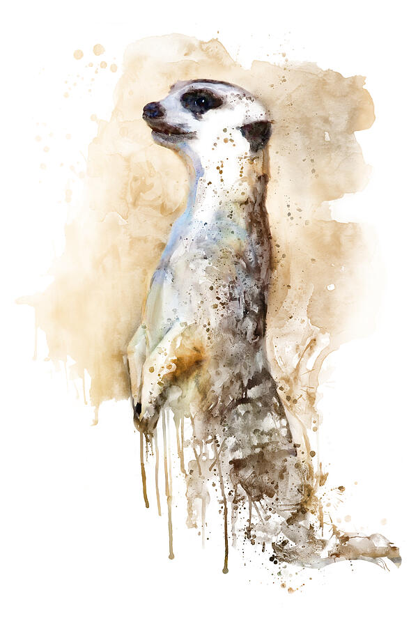Watercolor Painting - Meerkat Sentinel Painting by Marian Voicu