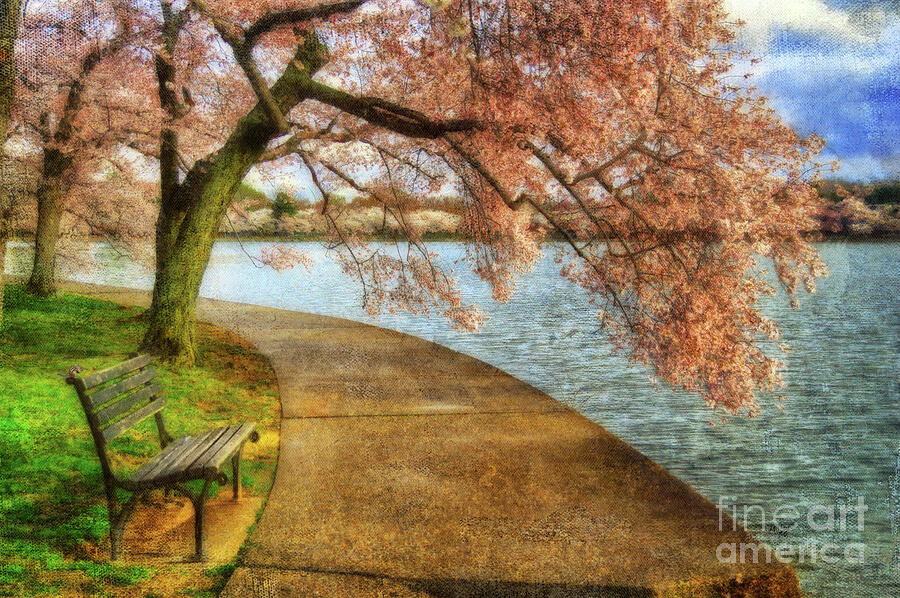 Spring Photograph - Meet Me At Our Bench by Lois Bryan
