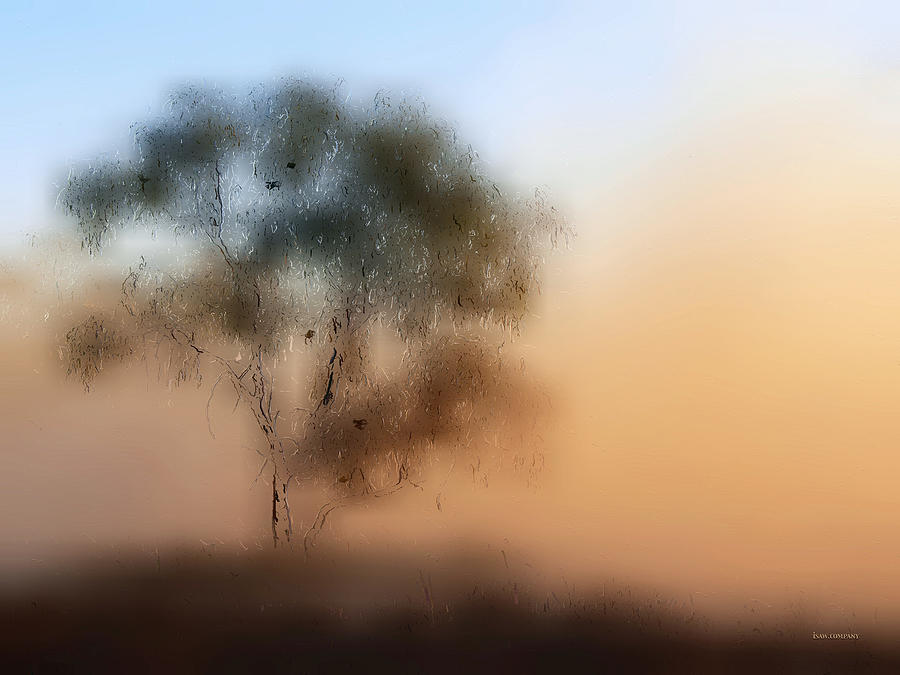 Foggy Digital Art - Meet Me At The Old Foggy Tree by ISAW Company Foggy Digital Art - Meet Me At The Old Foggy Tree by ISAW Company
