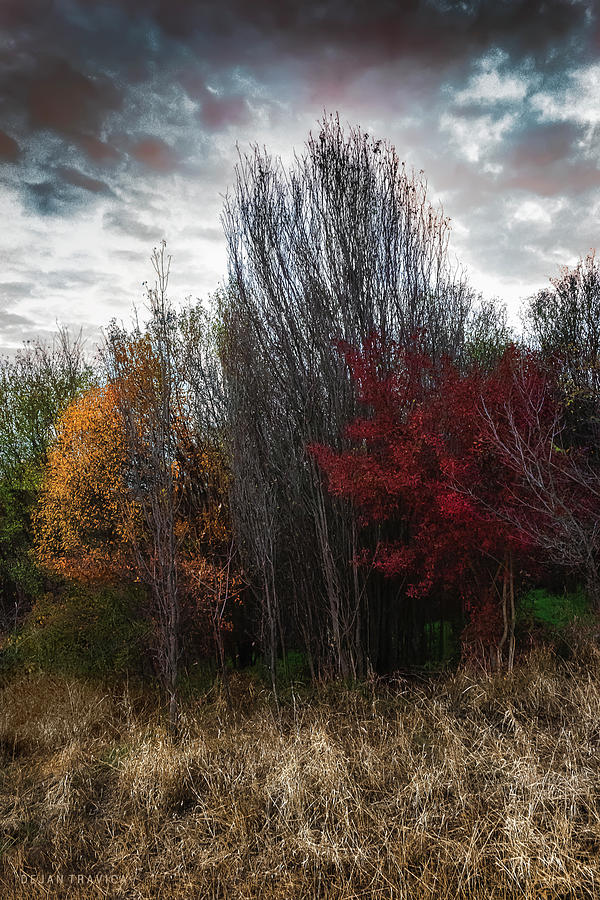 Meet the autumn Photograph by Dejan Travica Meet the autumn Photograph by Dejan Travica