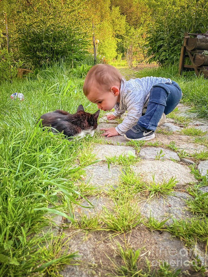 Meeting new kitty Photograph by Claudia M Photography