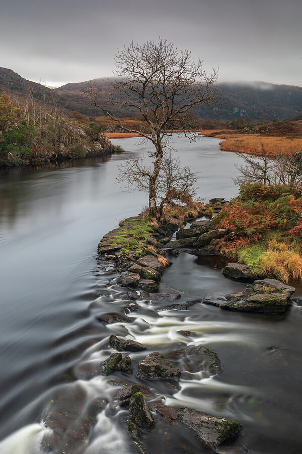 Meeting of The Waters, Killarney, Co Kerry Photograph by Adrian Hendroff