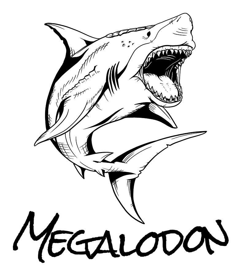 megalodon jaws drawing
