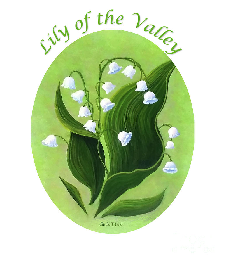 Megans Lily of the Valley Oval Painting by Sarah Irland