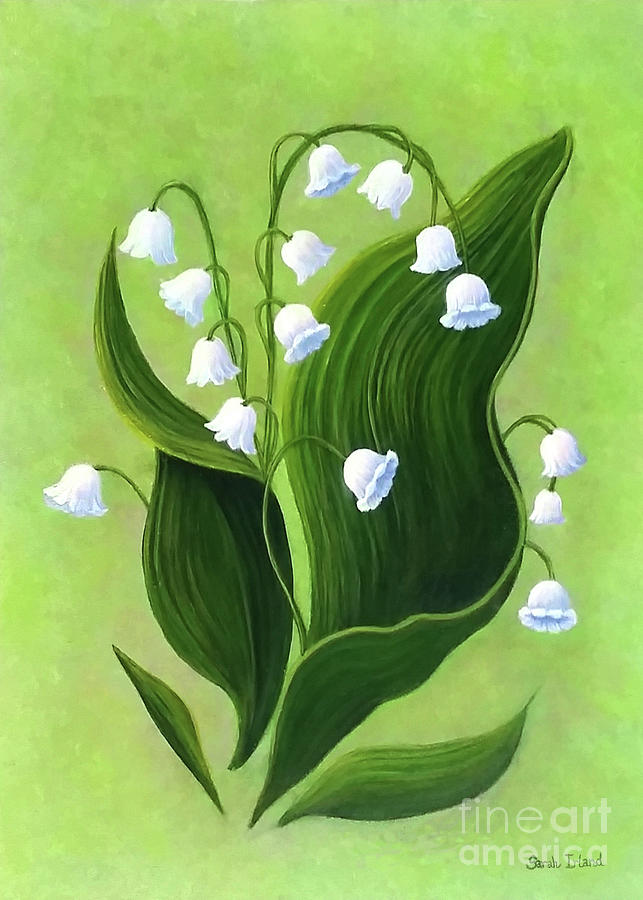 Megans Lily of the Valley Painting by Sarah Irland