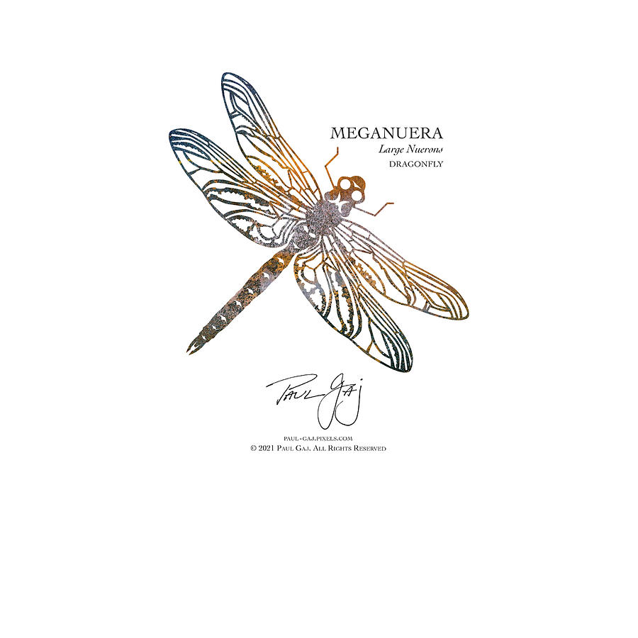 MegaNuera Dragonfly Mixed Media by Paul Gaj