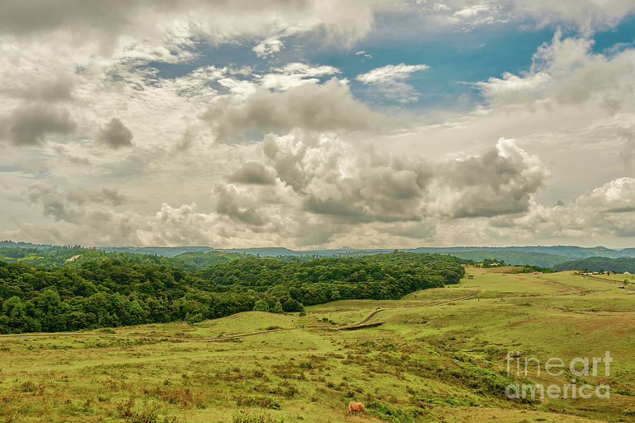 Landscape Photograph - Meghalaya countryside by Shantanav Chitnis