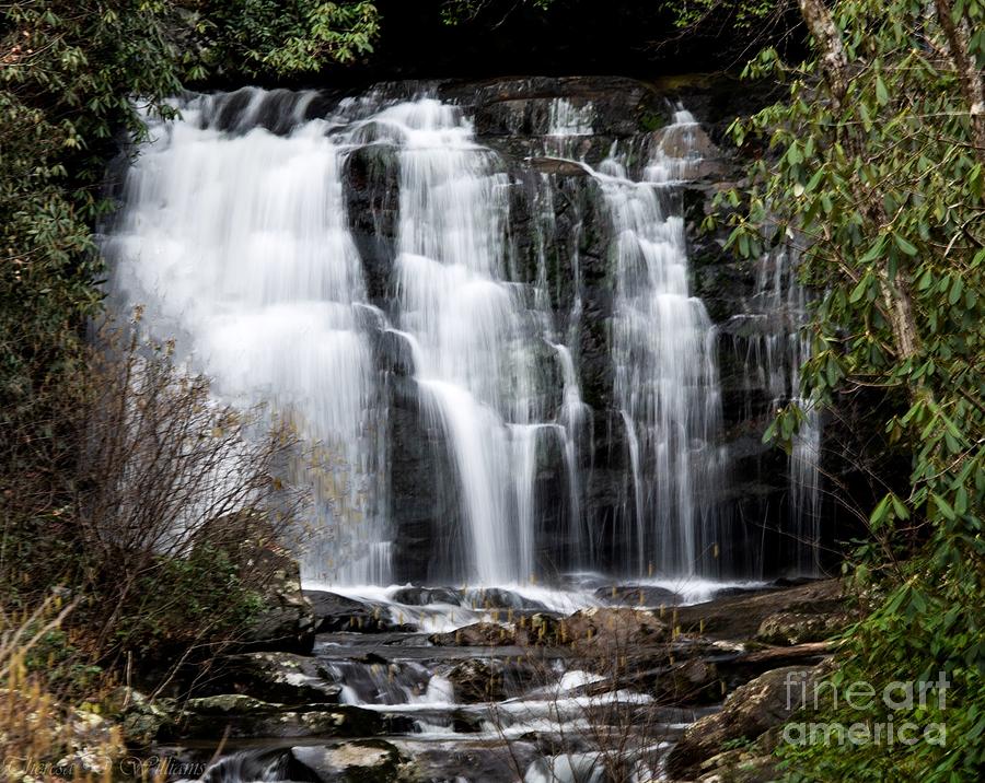 Meigs Falls, Smoky Mountains Photograph by Theresa D Williams
