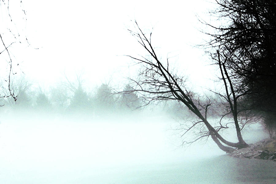 Melancholy Mist Photograph by Tim Kuret