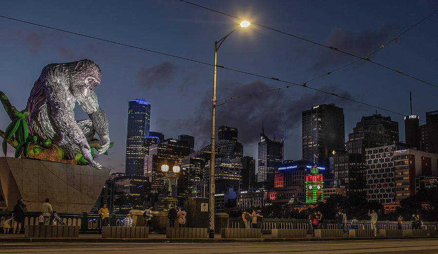 Melbourne Photograph - Melbourne Monkey by Leigh Henningham Melbourne Photograph - Melbourne Monkey by Leigh Henningham