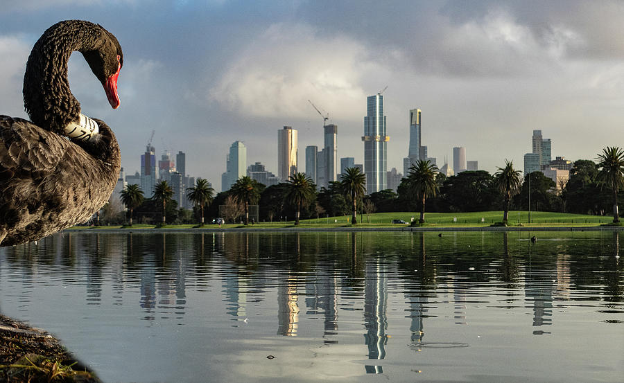 Melbourne reflections  Photograph by Leigh Henningham