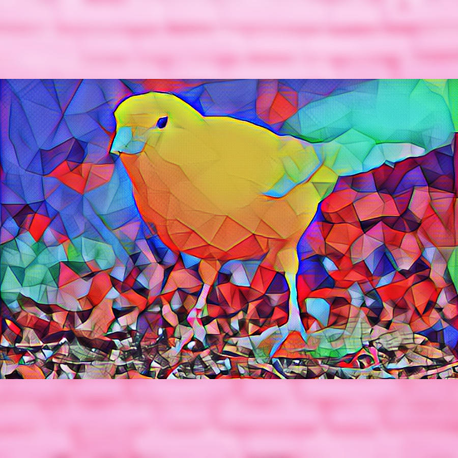  Mellow Yellow Canary  Digital Art by Gayle Price Thomas