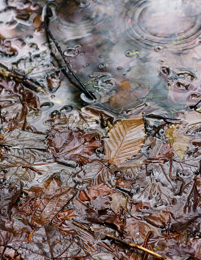 Melting Ice Mixed Media by Sue Capuano Melting Ice Mixed Media by Sue Capuano