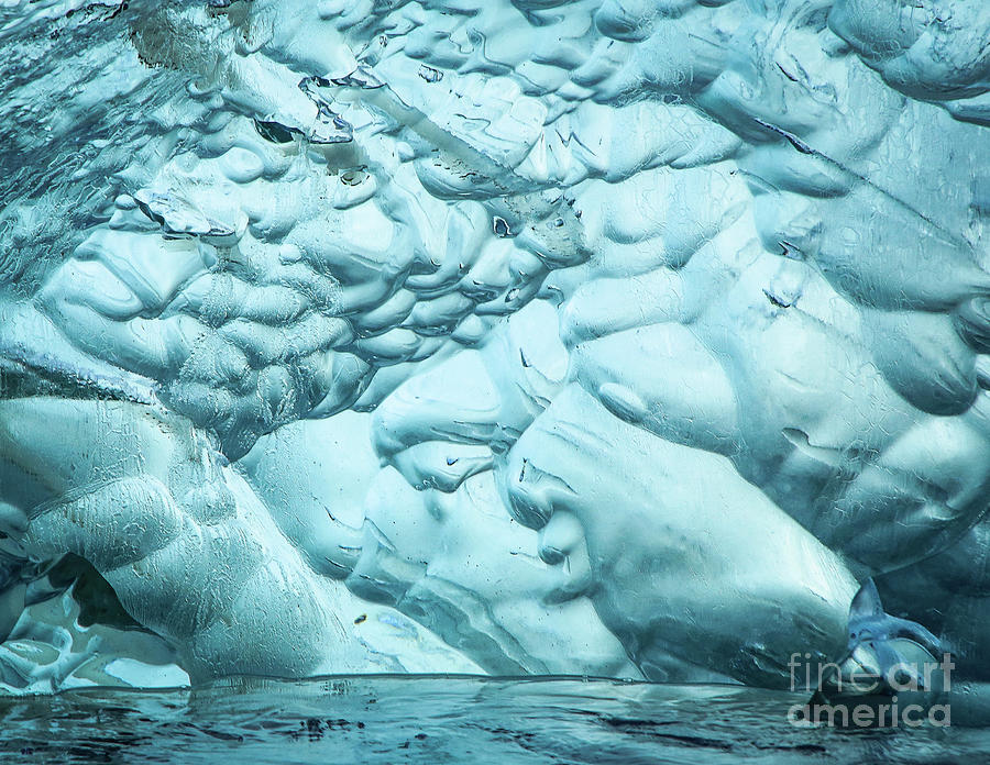 Melting Iceberg Photograph by Makiko Ishihara