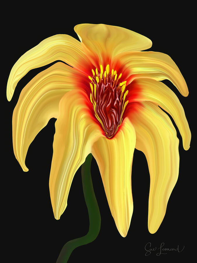 Melting Tree Dahlia Photograph by Sue Leonard Melting Tree Dahlia Photograph by Sue Leonard