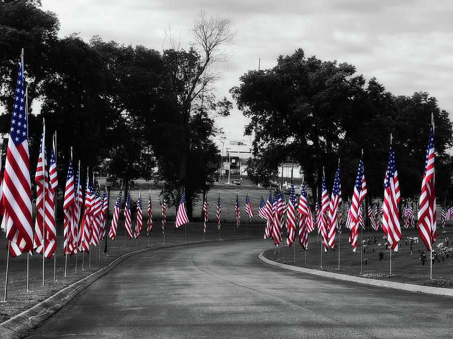 Memorial Day  Photograph by Ally White