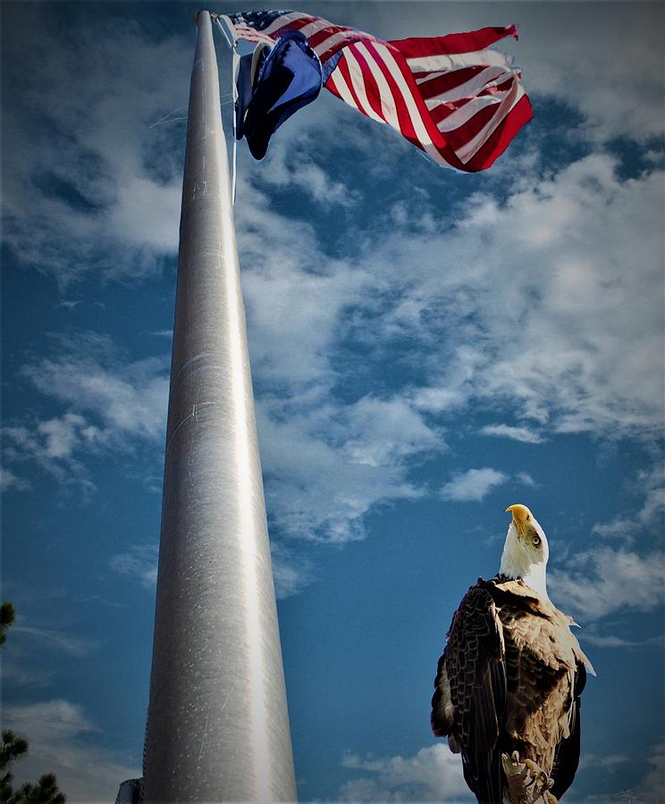 Memorial Day Photograph by Sandy Poore