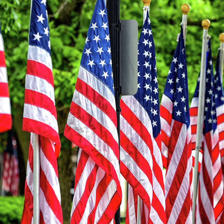 Memorial Day US flags Photograph by Michael Delott Fine Art America