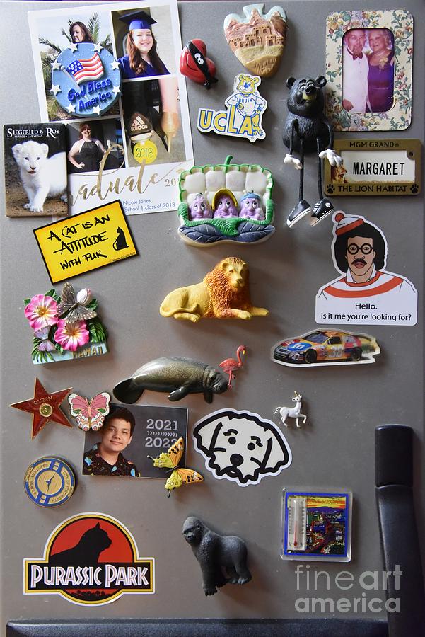 Memory Magnets Photograph by Leo Sopicki