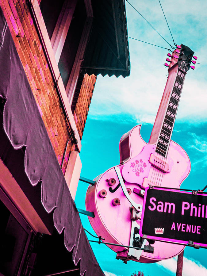 Memphis Pretty in Pink Photograph by Lisa Soots