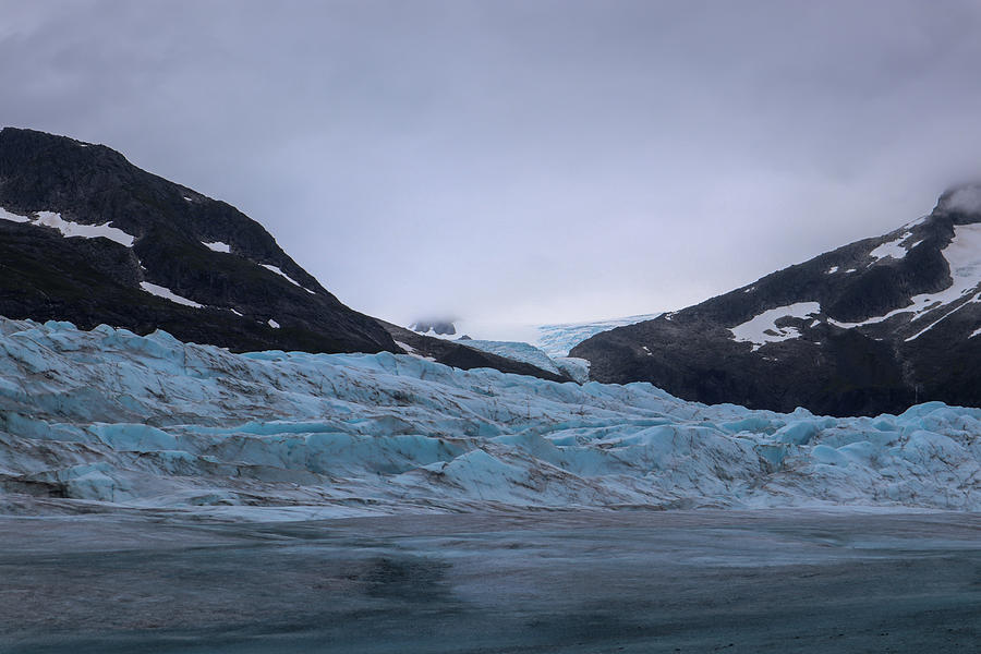 Mendenhall Glacial Landscape Photograph by Ed Williams