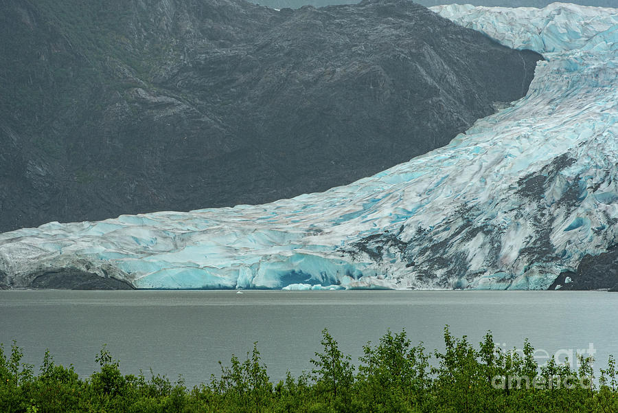 Alaska Photograph - Mendenhall Glacier #1 by Nancy Gleason
