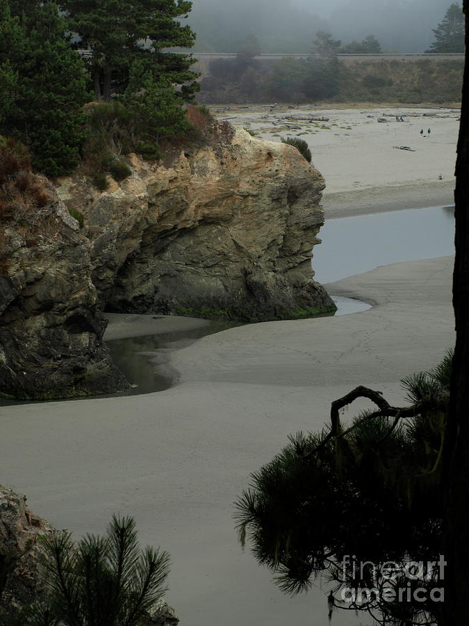 MendocinoQuiet Photograph by Mary Kobet
