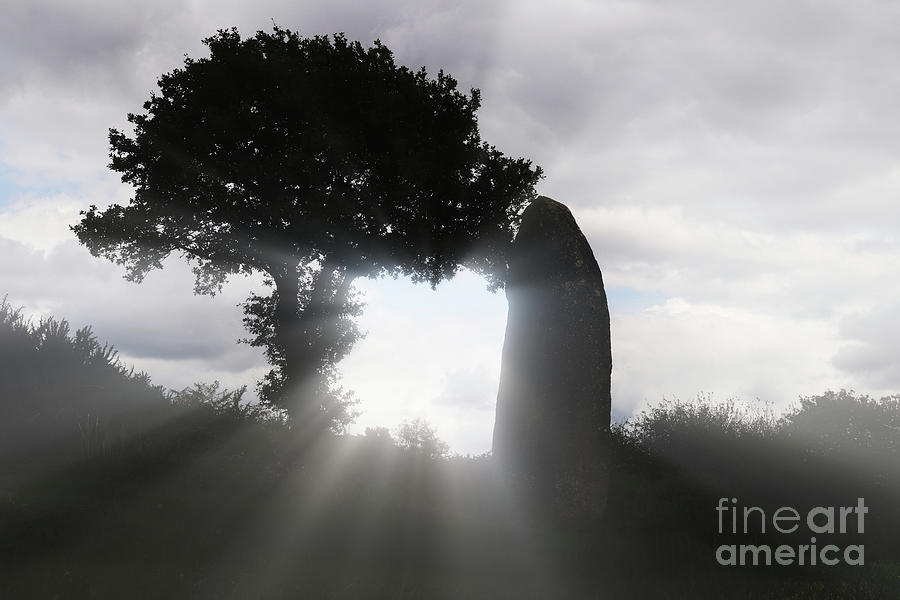 Menhir of Kergornec - megalithic monument in Brittany, France Photograph by Michal Boubin