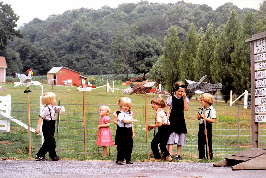 Mennonite Children At Play Photograph by Stephen Tulcus - Fine Art America