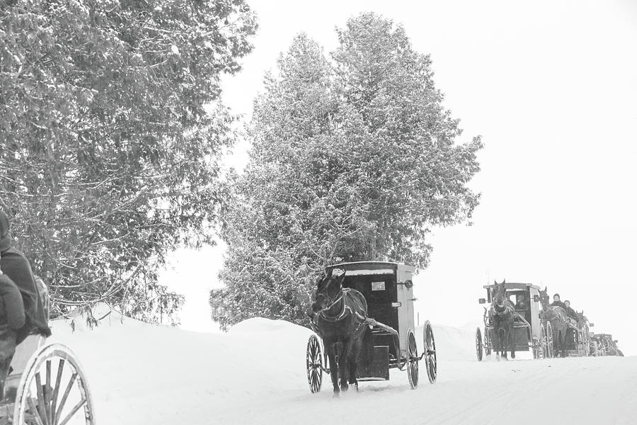 Mennonites of southern Ontario Photograph by Nick Mares