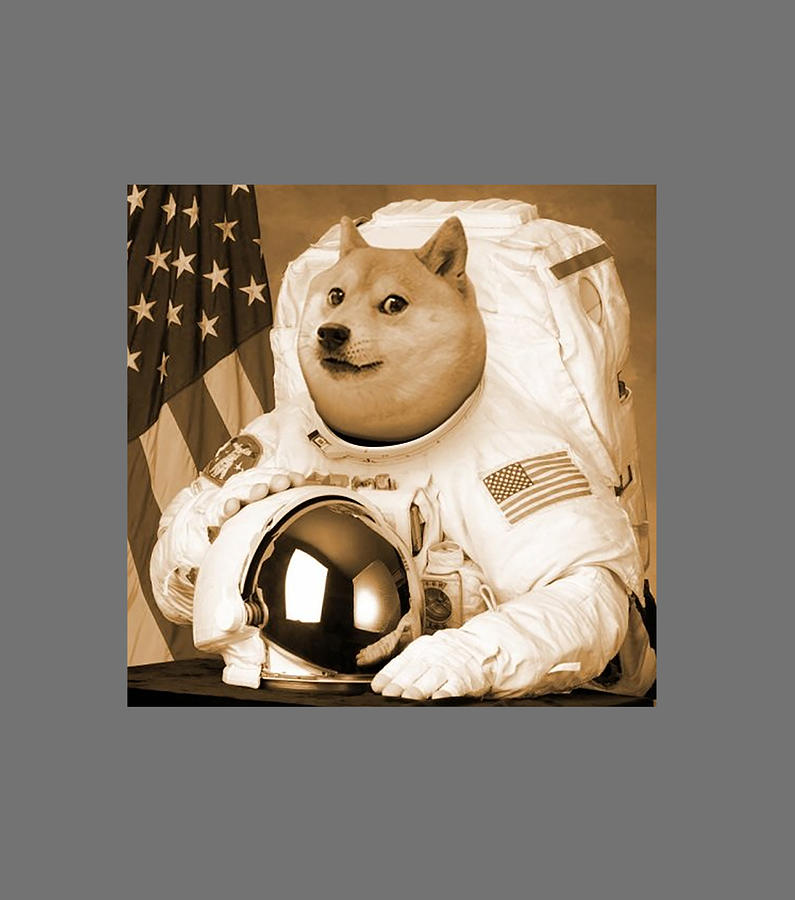 Mens Dogecoin Moon Astronaut Meme Crypto Doggy Digital Art by Quynh Vo