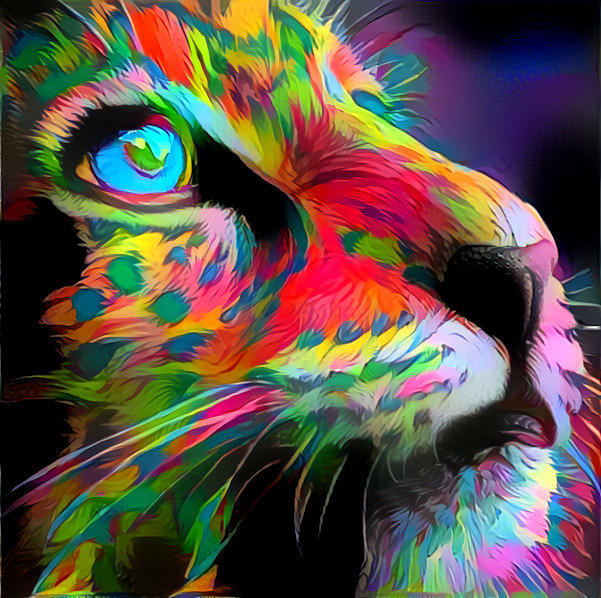 Meow Digital Art by Jennie Lankford-dillman - Fine Art America