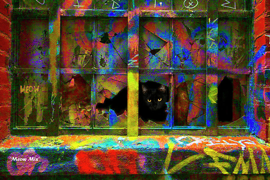 Meow Mix Digital Art by R C Fulwiler