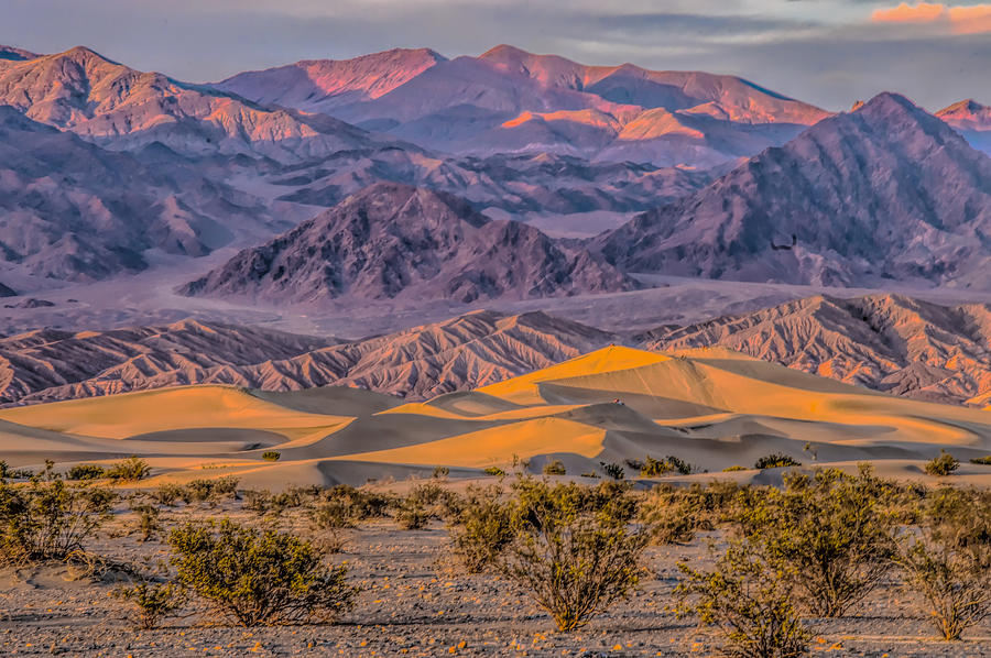 Mesquite Dunes Death Valley overview Photograph by Patricia Dennis