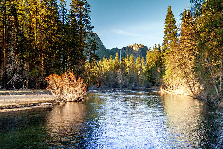 Yosemite National Park Photograph - Merced River and Yosemite Falls by Her Arts Desire