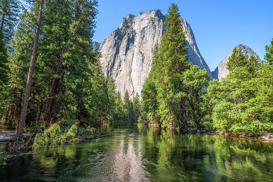 Merced River - Standing Tall In Yosemite Valley Photograph by Joseph S Giacalone