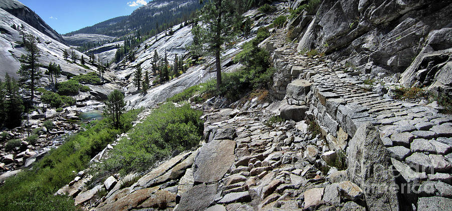 Merced River Trail - Yosemite Photograph