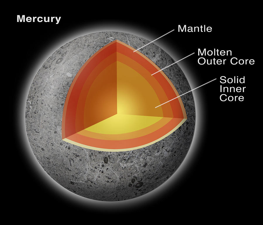 Mercury Cross Section Photograph by Spencer Sutton
