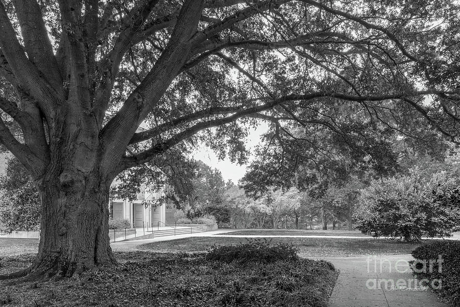 Meredith College Landscape Photograph by University Icons