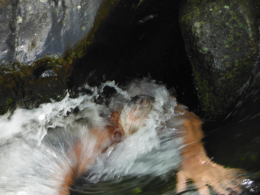 Iao Photograph - Merging with All Waterfall by Gary Wohlman Iao Photograph - Merging with All Waterfall by Gary Wohlman