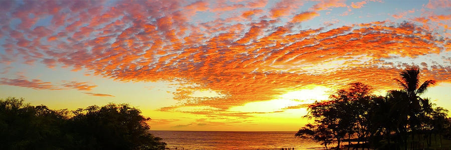 Meridia Panoramic Photograph by Angela Brunson Meridia Panoramic Photograph by Angela Brunson