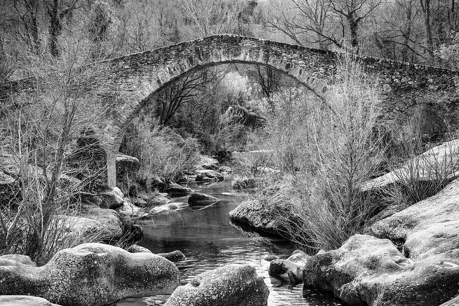 Gothic Bridge of Merles - CR2102-4645-BW Photograph by Jordi Carrio Jamila