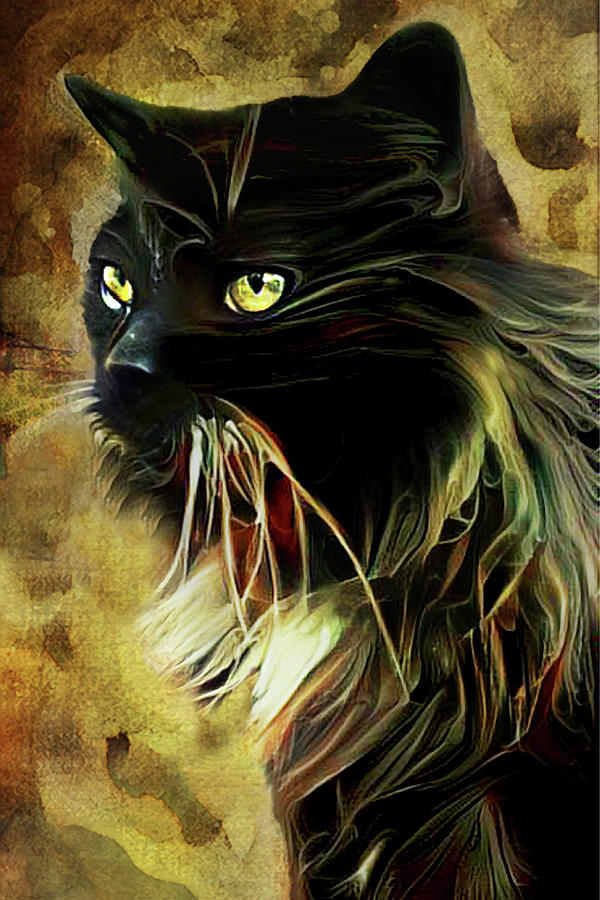 Merlin the Tuxedo Maine Coon Cat Mixed Media by Peggy Collins