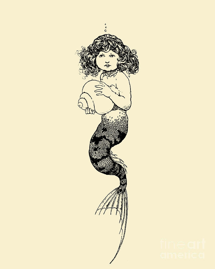 Mermaid Digital Art - Mermaid And Sea Shell by Madame Memento