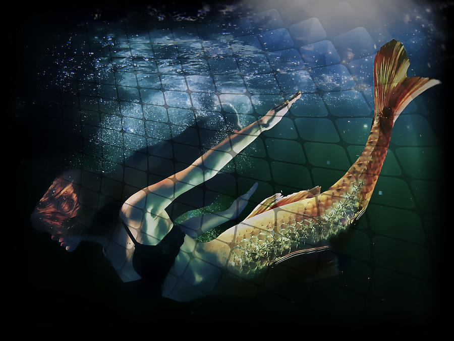 Mermaid Escape Digital Art by Sheri McLeroy - Pixels