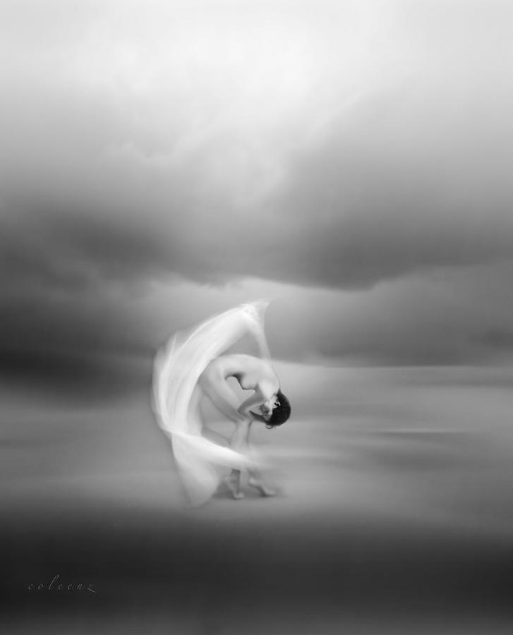 Mermaid III Photograph by Coleen Z - Fine Art America