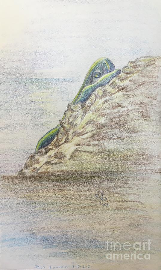 Mermaid Meditation  Drawing by Sheri Lauren