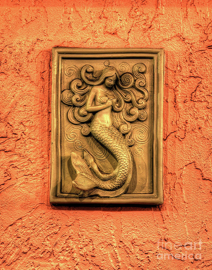 Mermaid Plaster Wall Art Photograph By Greg Hager